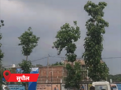 बिहार के 24 जिलों में बारिश का अलर्ट, 50 किमी रफ्तार से चल सकती है हवा
