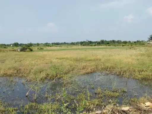 ग्वालियर- एक ही जमीन दो बार बेचकर लाखों की ठगी:पहले बिल्डर को बेच दी जमीन, फिर सामाजिक समिति से 1.61 लाख रुपए लिए; कोर्ट के आदेश पर FIR