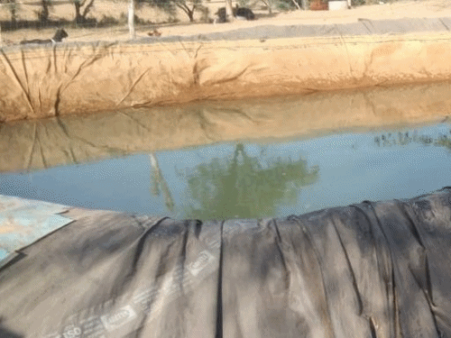 बीकानेर: पिता की हार्ट अटैक से मौत के सदमे में बेटी की भी जान गई, एक साथ होगा अंतिम संस्कार