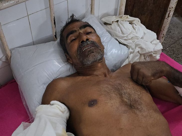 करौली: चंबल नदी में मगरमच्छ का खौफनाक हमला, पशुपालक ने आंख पर वार कर बचाई जान